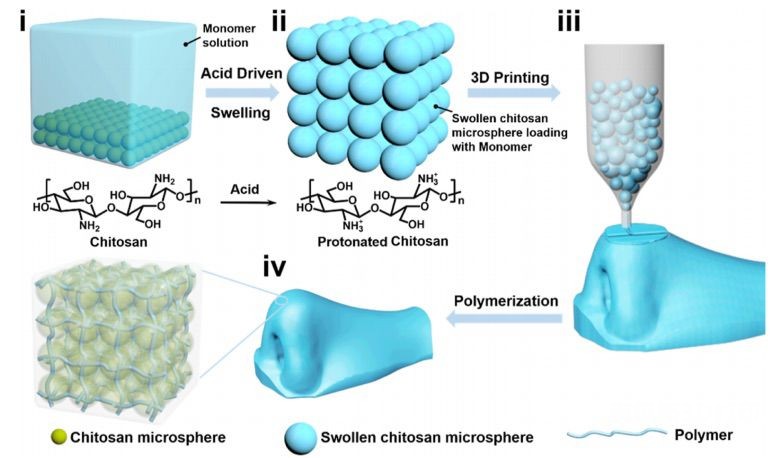 武汉大学-华南理工大学：微球介导的有效3D打印策略