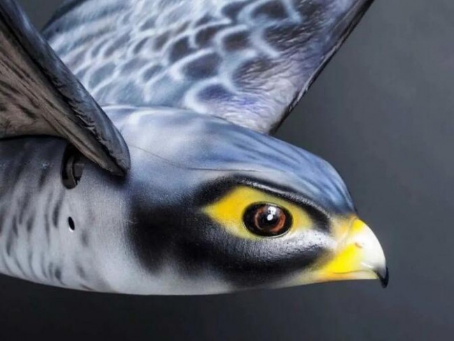 太逼真了！3D打印猎鹰仿生无人机是机场、农场的鸟类控制高手