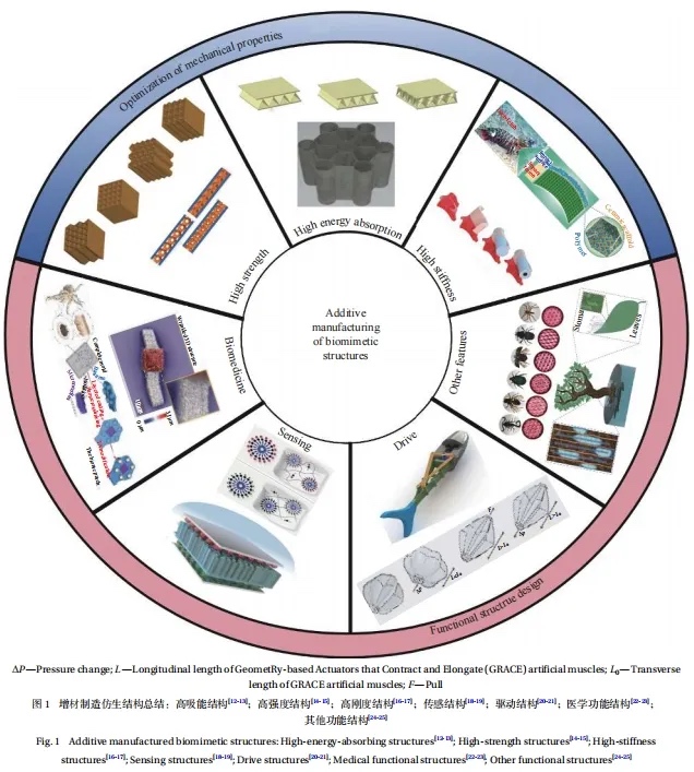 增材制造仿生结构的力学性能优化及其功能设计研究进展