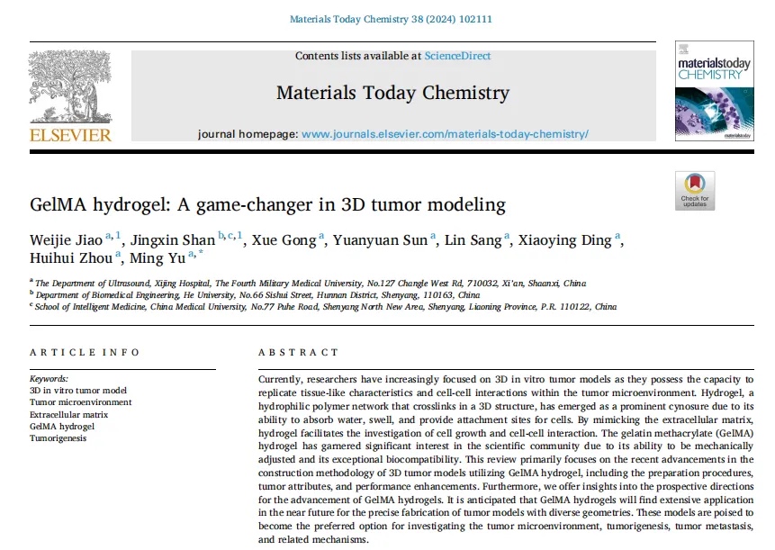 3D肿瘤建模的革命性技术