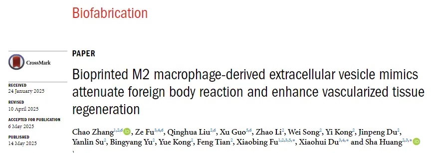 中国人民解放军总医院：3D生物打印M2巨噬细胞外囊泡模拟物促进血管再生