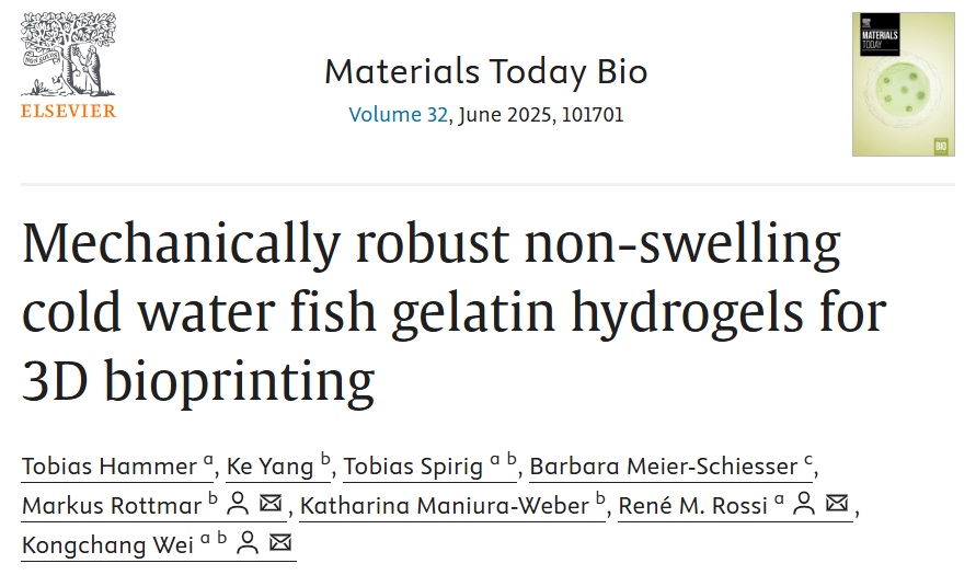用于3D生物打印的机械性能稳健型非溶胀冷水鱼明胶水凝胶