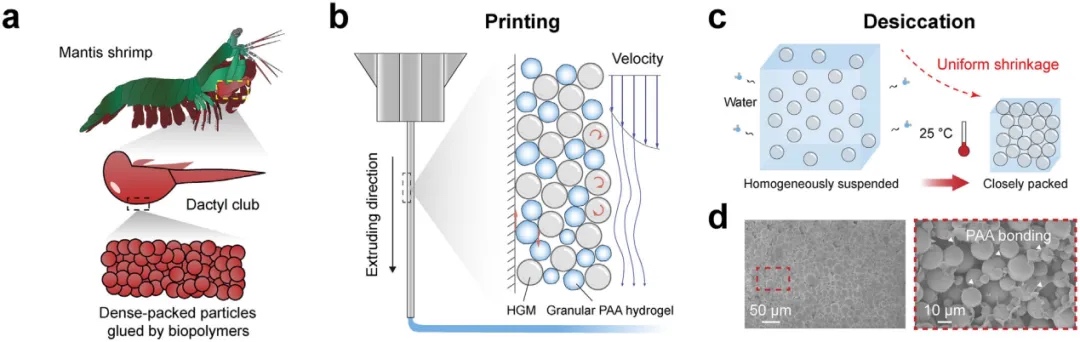 突破！3D打印超高填料含量复合材料