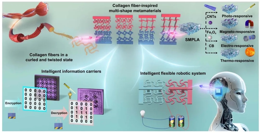 高可编程4D打印多形状梯度超材料及多功能器件