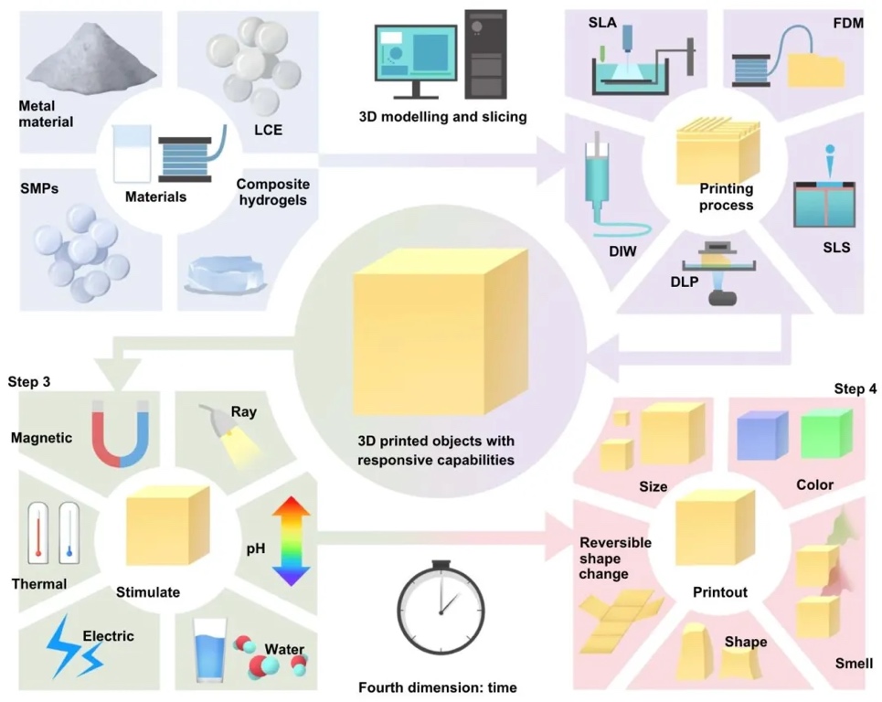 东北林业大学李健教授与伊迪斯科文大学张来昌教授：生物质材料及其在4D打印中的应用