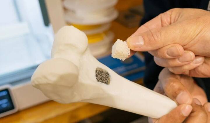 通过3D打印技术模仿和理解骨骼行为