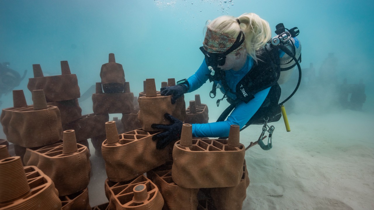 数百个粘土礁模块被精心部署到泻湖中