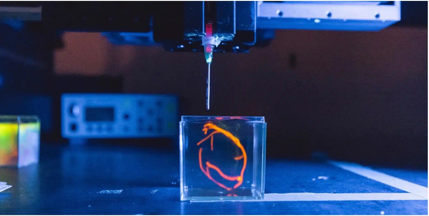 ARPA-H向斯坦福大学投资2600 万美元以制造心脏组织，器官3D 打印技术将迎来大爆发
