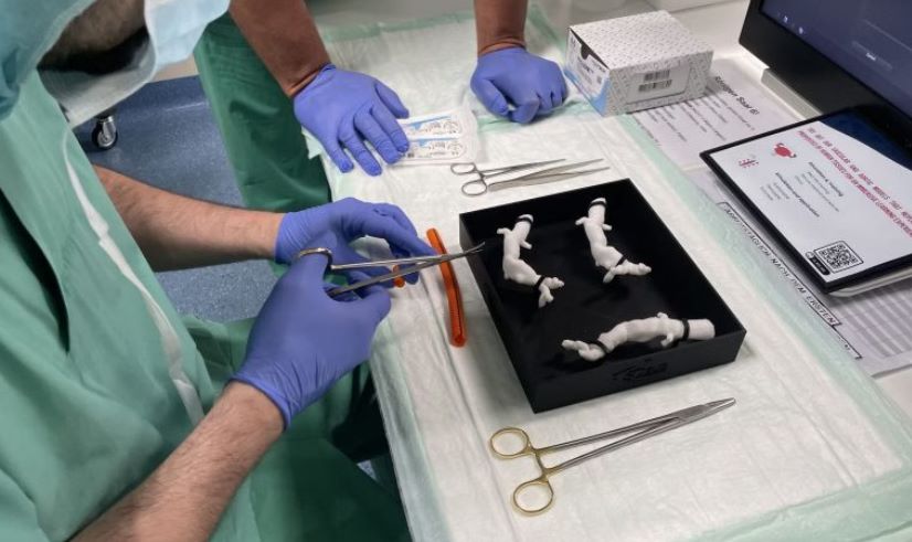 硅胶3D打印进入创新新阶段：Lynxter与3Deus Dynamics联手推动行业发展