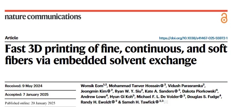 Nature通讯：3DPX技术打印高精度毛发，最细1.5μm！