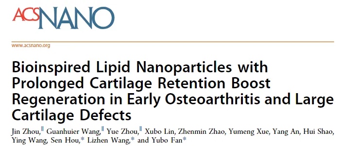 修饰脂质纳米颗粒：实现软骨长效留存，助力骨关节炎与软骨缺损修复