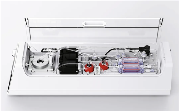 20万一台的“人脑计算机” 可能是人类战胜AI的唯一方式