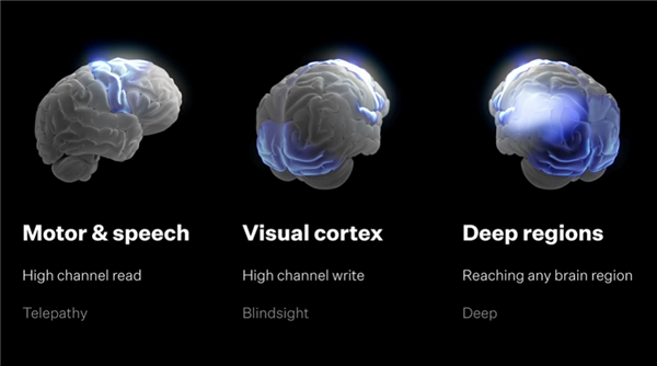 马斯克公布脑机接口重大进展：未来有望控制人形机器人 28年人类变AI