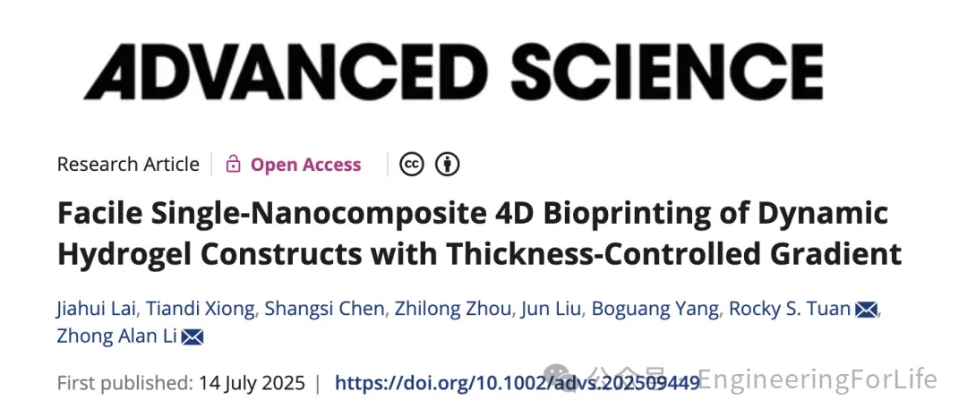 4D生物打印轻松解锁单一复合水凝胶复杂动态变形