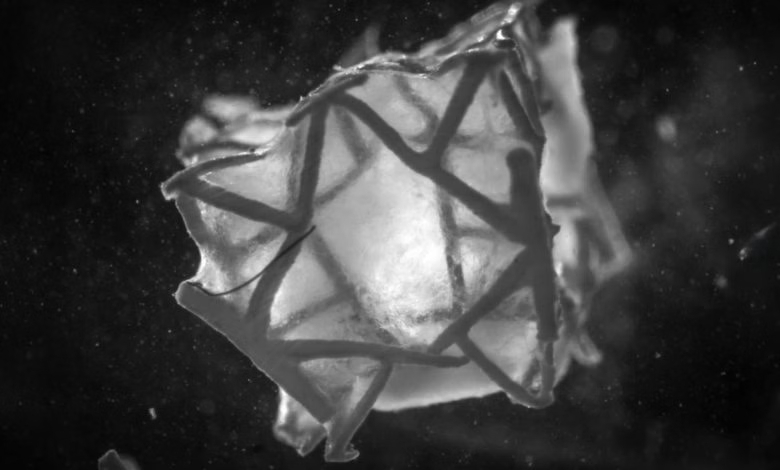 苏黎世联邦理工开发可降解3D打印心脏贴片RCPatch，助力心脏组织再生