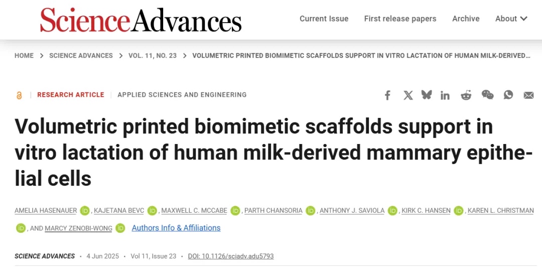 体积3D打印仿生支架支持人乳汁来源乳腺上皮细胞体外泌乳