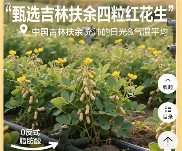 良品铺子就“花生上树”致歉：系错误使用AI生成图片