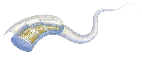 复旦团队重大突破 世界首款纤维芯片问世:大规模集成电路 卡车碾压也不怕