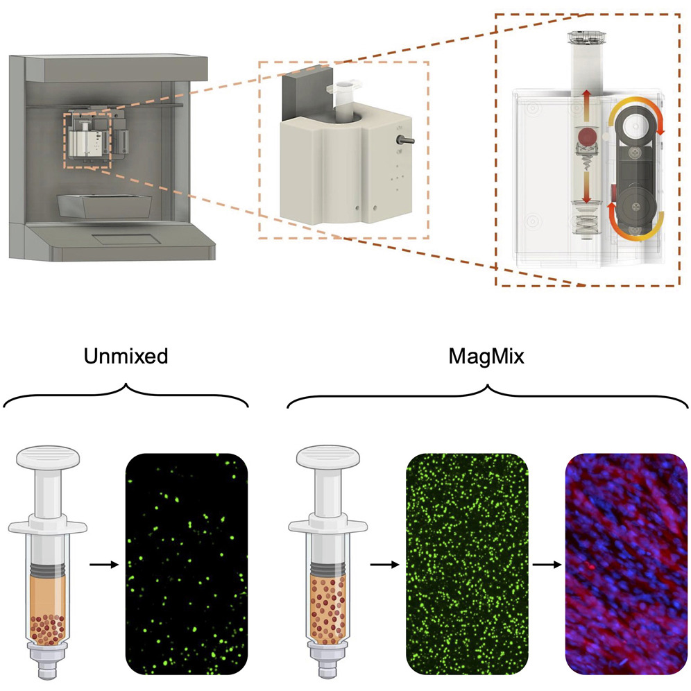 MIT开发出新型生物3D打印平台，可实现生物墨水原位混合以避免细胞沉淀