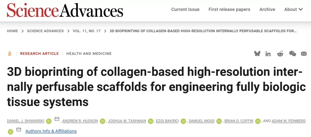 3D生物打印构建胶原基可灌注支架：从技术突破到组织工程应用