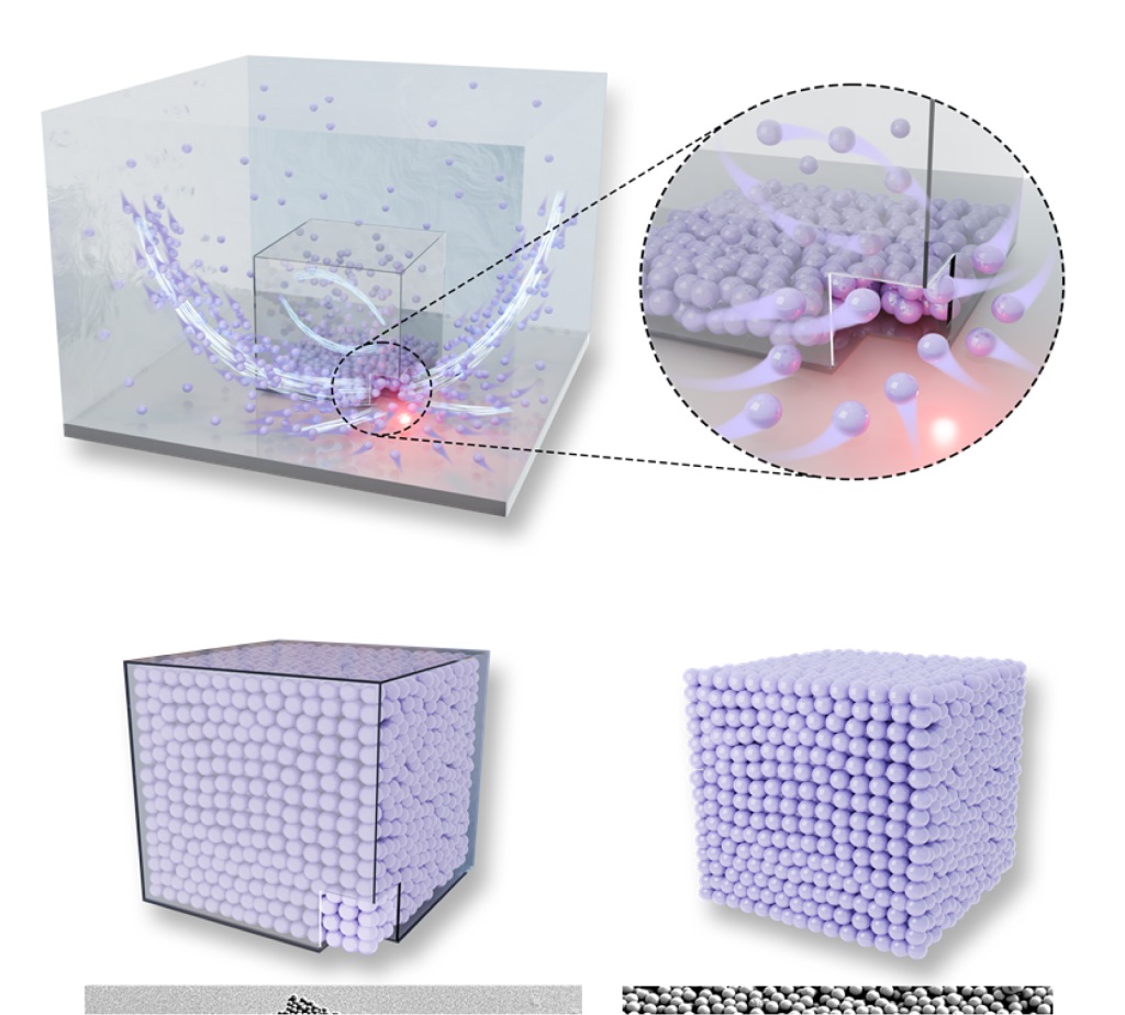 光流控组装方法能够利用金属、氧化物和量子点构建三维微结构