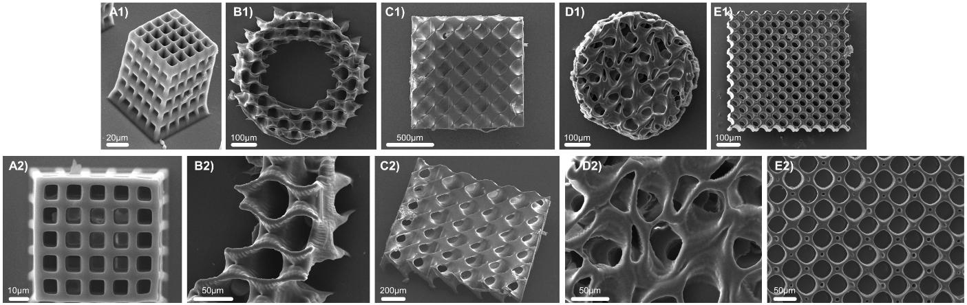 扫描电子显微镜图像显示了 3D 打印的 GelMA/姜黄素晶格结构，包括具有互连孔隙的三重周期最小表面 (TPMS) 几何结构
