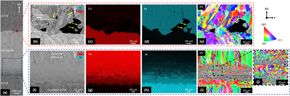 对水平方向的IN718/GRCop-42界面进行背散射和成分分析,结果显示存在未熔合缺陷和晶粒细化现象 对水平方向的IN718/GRCop-42界面进行背散射和成分分析,结果显示存在未熔合缺陷和晶粒细化现象