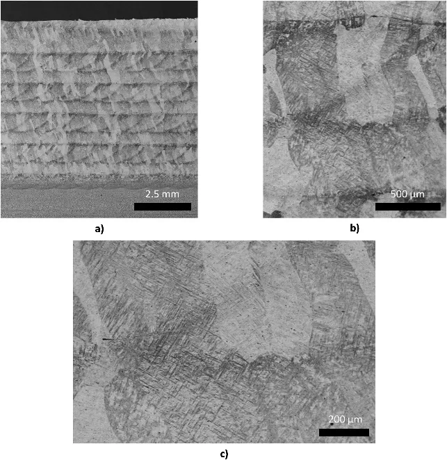 截面的金相组织图 (b) 微观结构图 (c) 编织网篮状结构