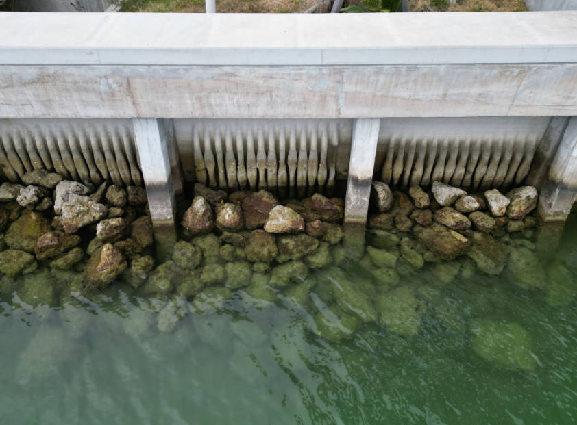 探索自然防御：美国Florida州立法推动3D打印“活海堤”建设