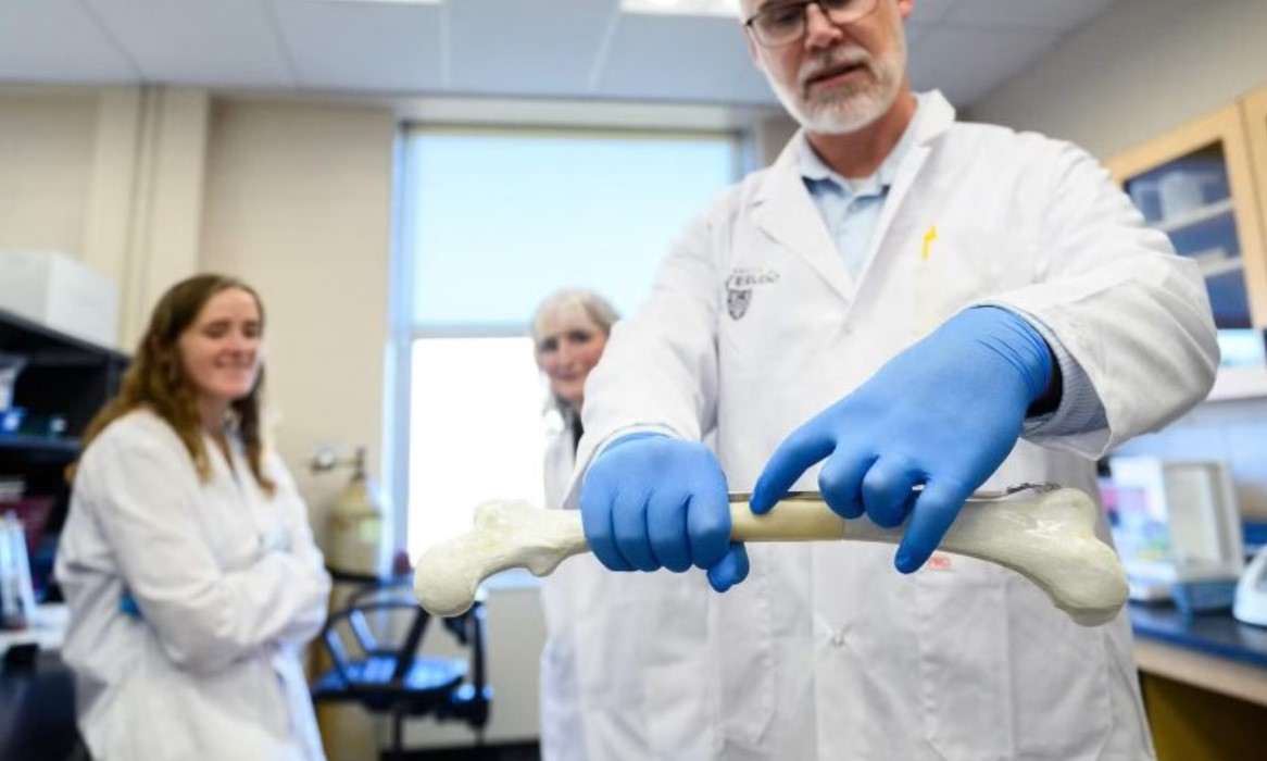 研究人员开发出天然3D打印骨移植材料，可减少金属植入物引起的并发症