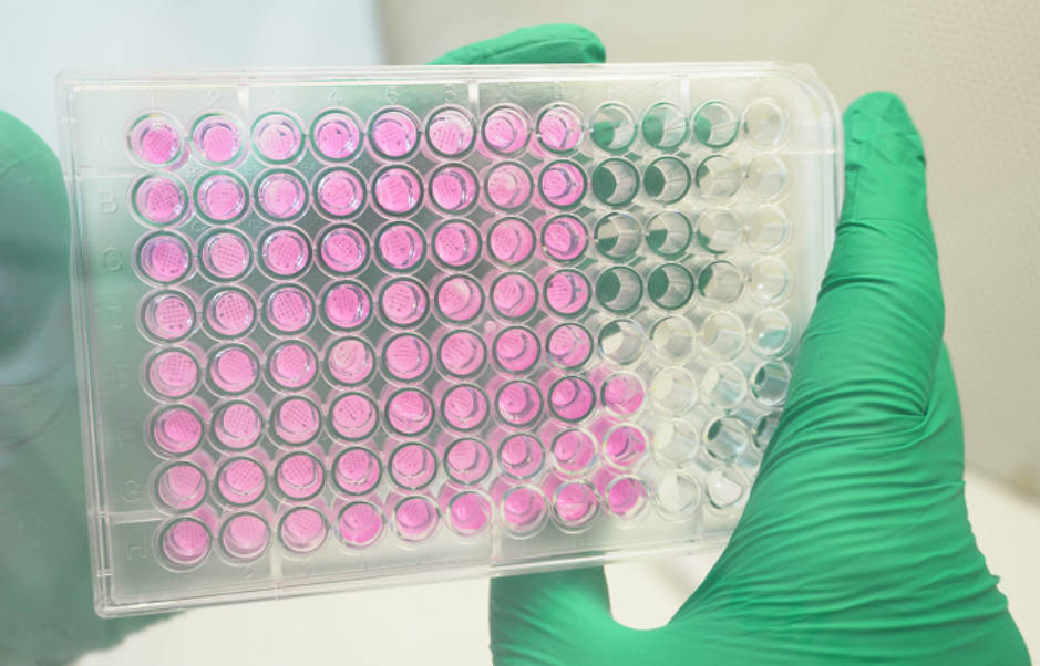 采用Ossiform技术3D打印的β-磷酸三钙生物陶瓷P3D支架