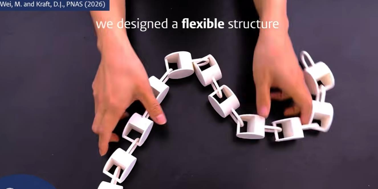 通过生物仿生学和3D打印技术，研发更小和更柔性的机器人