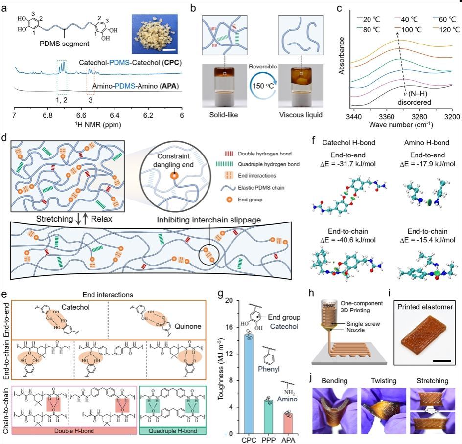 3D打印弹性体的分子结构设计与基本性能
