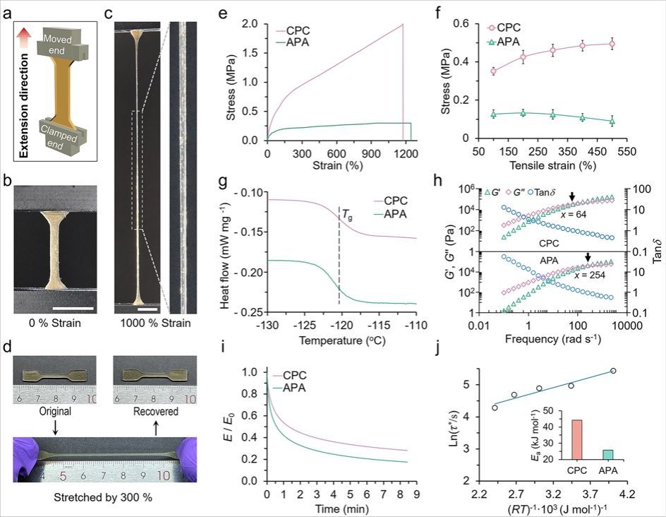 弹性体的力学性能