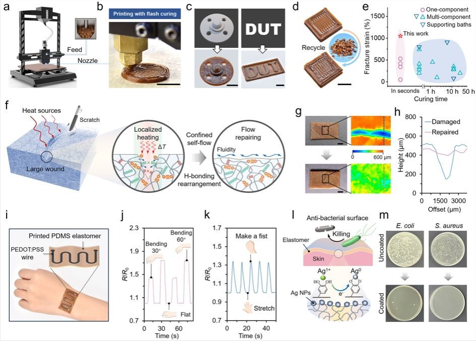 多功能3D打印弹性体