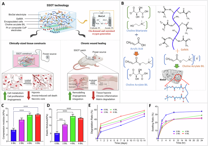 研究人员开发可持续供氧的生物工程3D打印电极贴片，促进伤口愈合和组织生长
