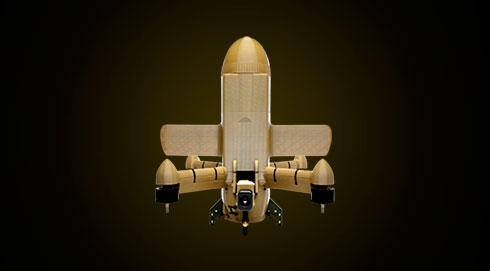 “毒刺”拦截型无人机，由Wild Hornets公司生产