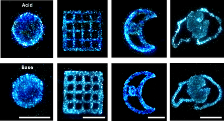 研究人员利用生物3D打印技术构建可重复使用的发光生物材料