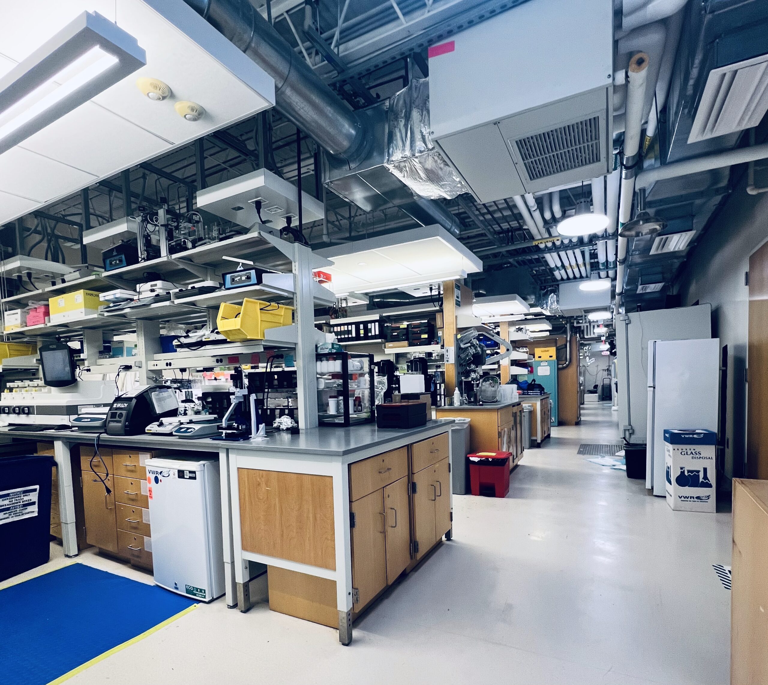 哈佛大学海洋工程与科学学院詹妮弗·刘易斯实验室