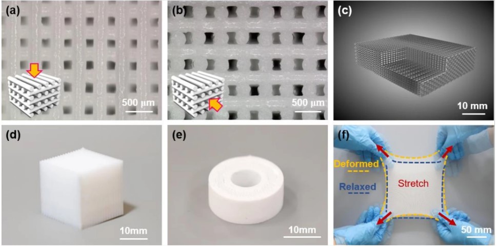 江南大学开发3D打印硅胶晶格结构，兼具防霉性和隔振性