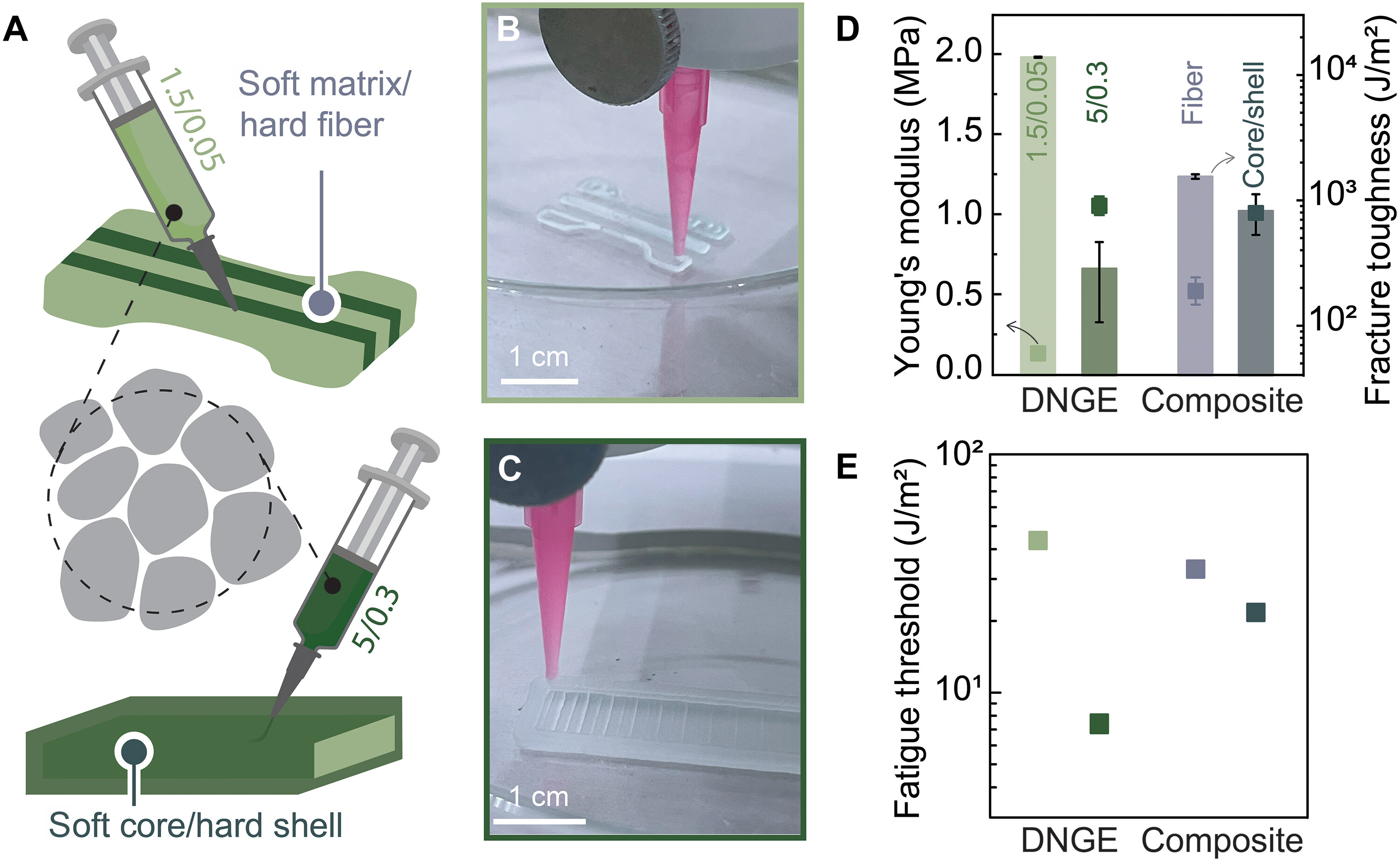 DNGE 的多材料 3D 打印 DNGE 的多材料 3D 打印