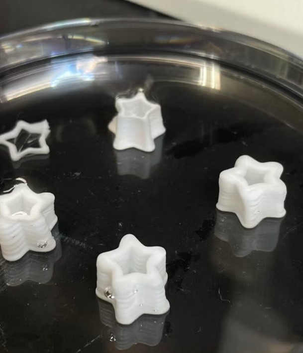 这种3D打印组织模拟了人体组织的分类和过滤能力,允许某些分子通过,同时阻止其他分子进入 这种3D打印组织模拟了人体组织的分类和过滤能力,允许某些分子通过,同时阻止其他分子进入