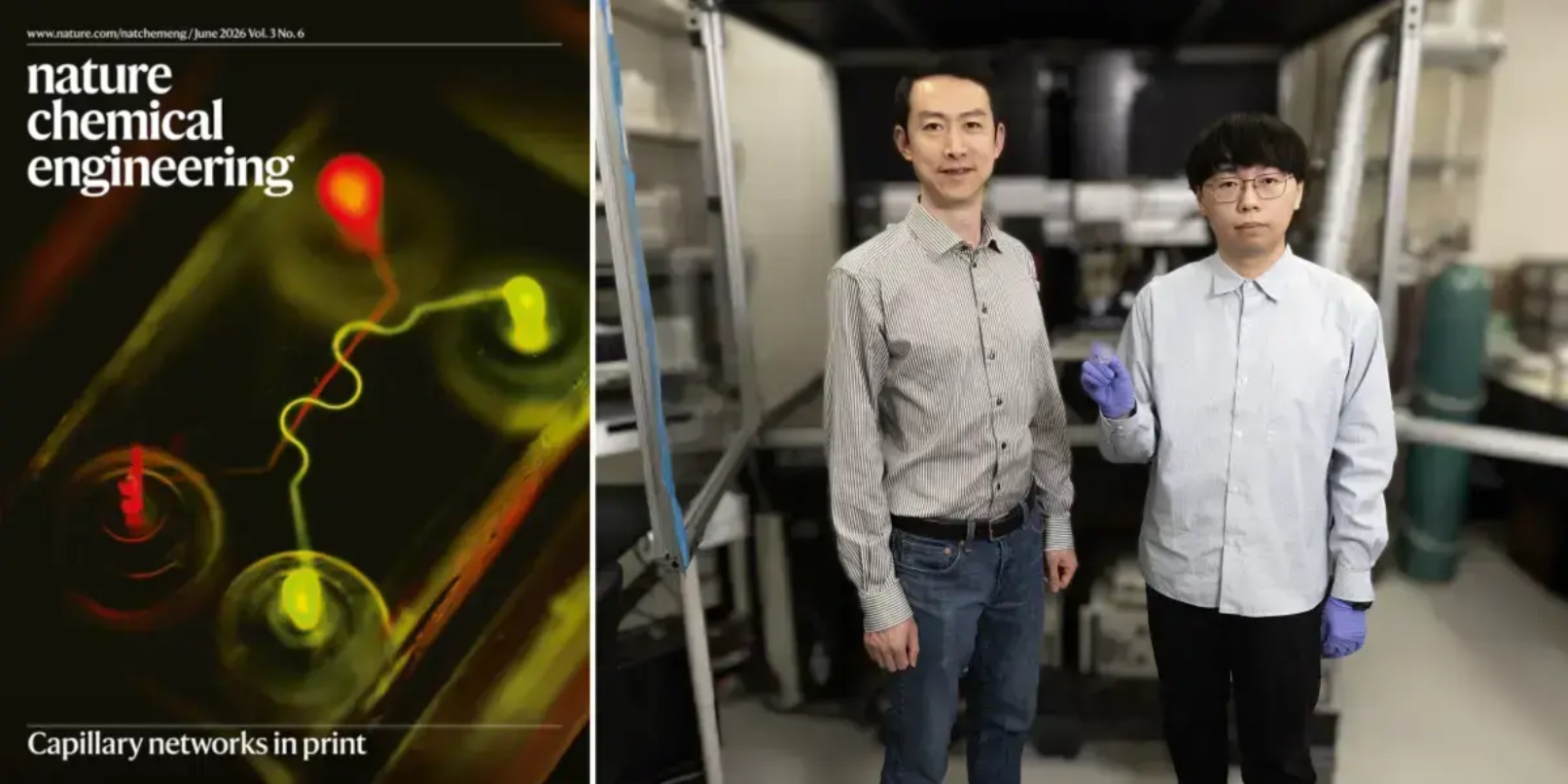 Nature子刊： 生物工程突破性进展，生物3D打印技术制造出比头发丝还细的血管