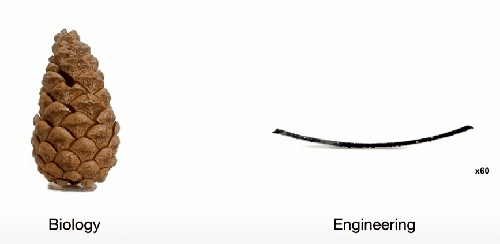 2.gif 2.gif