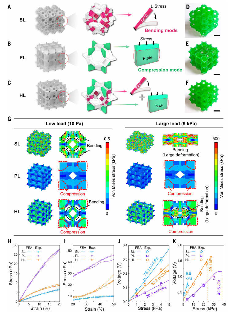 《Science》重磅：华中科技大学3D打印梯度超材料，实现超宽范围高灵敏触觉感知