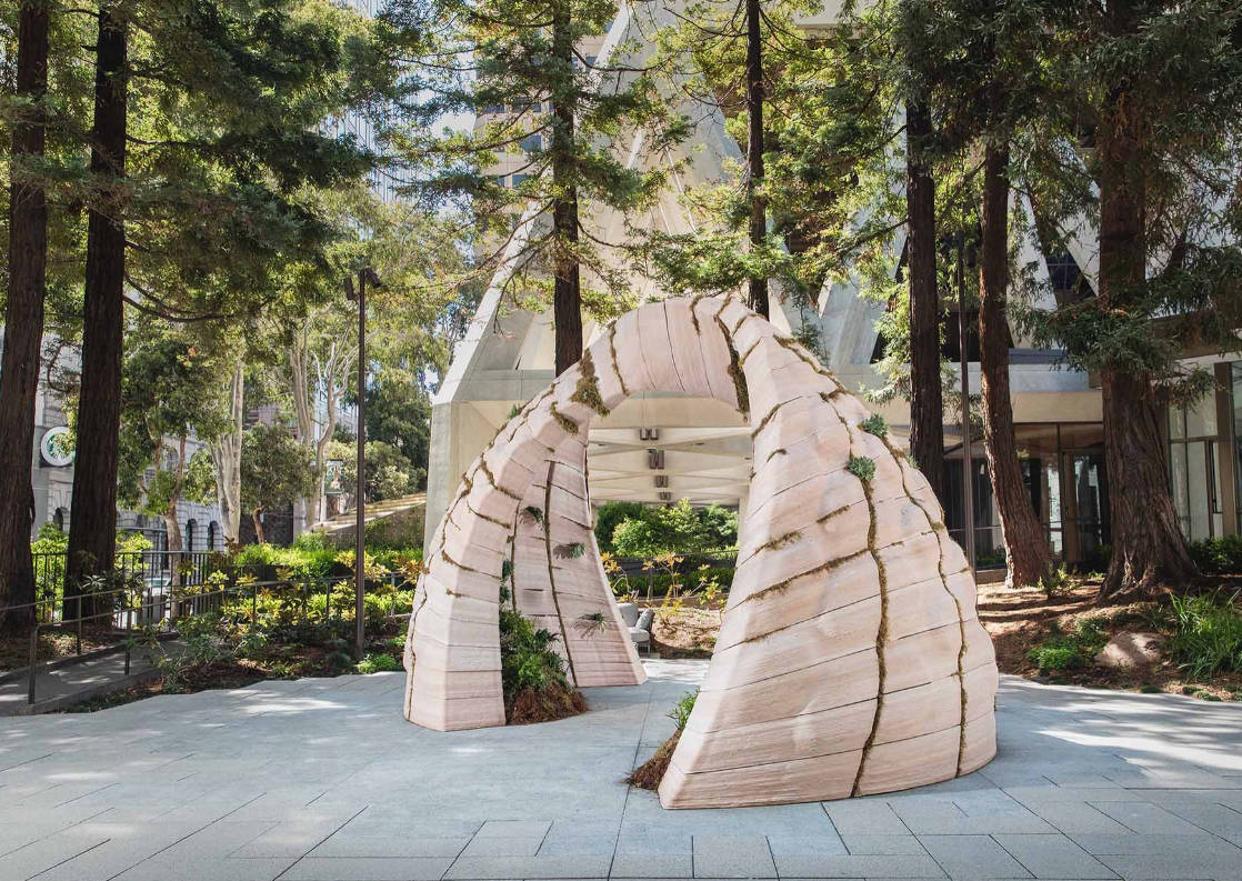 自然与科技融合，旧金山落地大型3D打印生态艺术装置Earthseed Dome