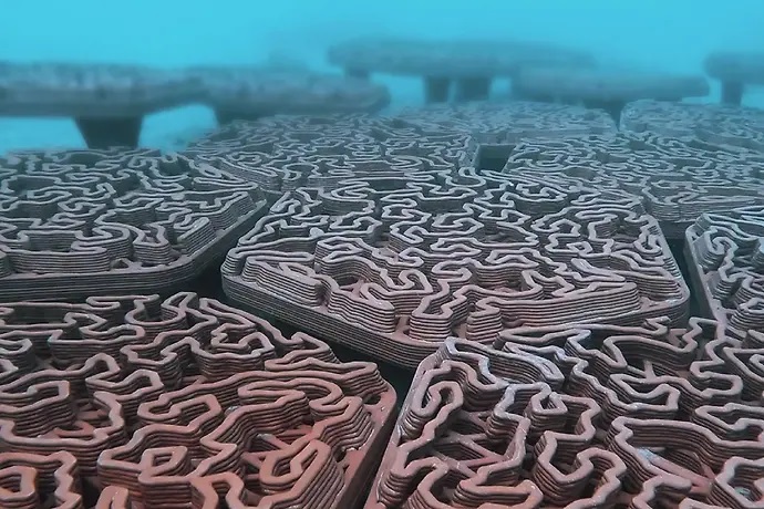 利用3D打印技术修复和重建珊瑚礁及沿海生态系统 利用3D打印技术修复和重建珊瑚礁及沿海生态系统