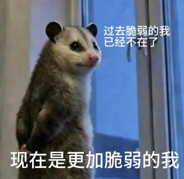 去重庆看了一圈工厂实操后 我对工业机器人彻底改观了